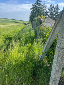 Photo de galerie - Avant 