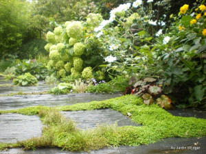 Photo de galerie - Paysagiste - Aménagement du jardin