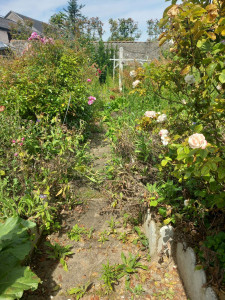 Photo de galerie - Jardinier