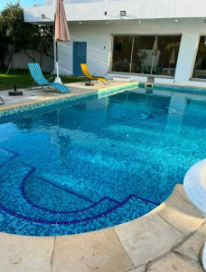 Photo de galerie - Entretien piscine et terrasse 