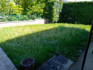 Photo de galerie - Tonte pelouse avant