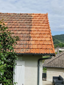 Photo de galerie - Demoussage toiture 