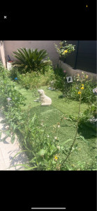 Photo de galerie - Paysagiste - Aménagement du jardin