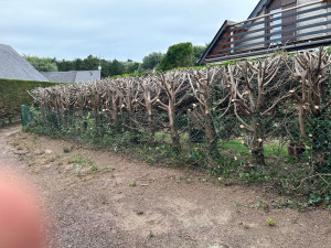 Photo de galerie - Bonjour, je présente mes services, je suis du secteur de Caen et c’est alentours de 50 à 60 km devis et déplacement gratuit prix très compétitif, n’hésitez pas à me contacter pour plus de renseignements