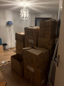 Photo de galerie - Mise en carton & prise d’initiative 