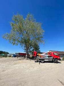 Photo de galerie - Élagage sur Nacelle, vl de 20 m