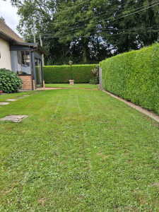 Photo de galerie - Tonte de pelouse - Débroussaillage