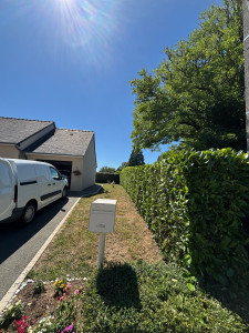 Photo de galerie - Taille de haie 