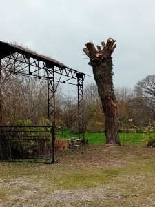 Photo de galerie - Jardinier