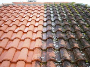 Photo de galerie - Travaux de nettoyage toiture par pulvérisation anti-mousse hydrofuge 