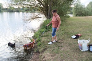 Photo de galerie - Promenade de mes chiens au lac d'Acquigny
