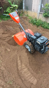 Photo de galerie - Location rotovator motoculteur 70 euros la journée 