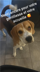 Photo de galerie - Garde de mon petit Aïko ♥️