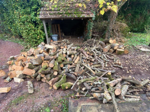 Photo de galerie - Mélange bois divers