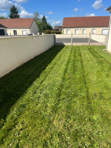 Photo de galerie - Regarnissage gazon + démoussage 