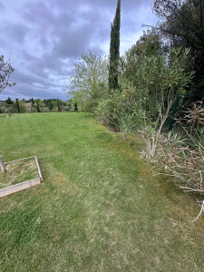 Photo de galerie - Tonte