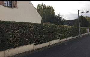 Photo de galerie - Paysagiste - Aménagement du jardin