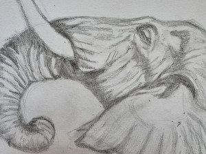 Photo de galerie - Réalisation sur commande,portrait,

 fresques...