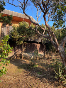 Photo de galerie - Débroussaillage d’une parcelle d’un jardin d’une centaine de m2