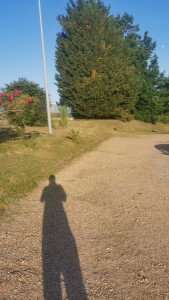 Photo de galerie - Fauchage
