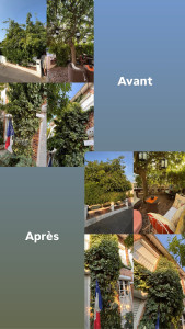 Photo de galerie - À la demande de la cliente, nous avons effectué des tailles ainsi qu’un gros nettoyage sur son petit patio extérieur 