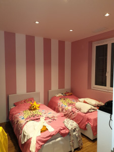 Photo de galerie - Murs et plafond en BA13 avec peinture 