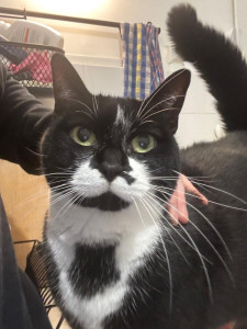 Photo de galerie - Lolita 