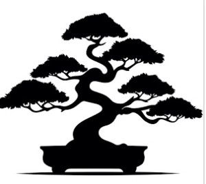 Photo de galerie - Arbre