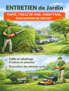 Photo de galerie - E propose mes services d'entretien de jardin (tonte, taille de haie, rabattage évacuation de déchet)