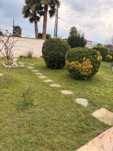 Photo de galerie - Tonte