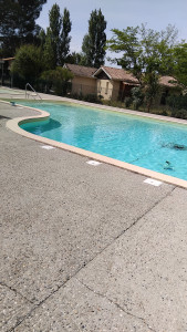 Photo de galerie - Entretien piscine