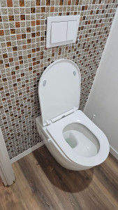 Photo de galerie - Création d'un toilette supendu avec placo et faience