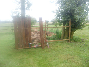 Photo de galerie - Paysagiste - Aménagement du jardin