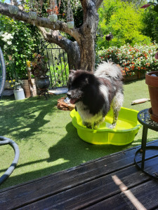 Photo de galerie - Loisirs pendant l été (après la plage)