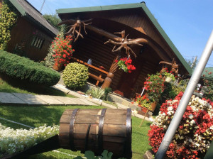 Photo de galerie - Sur cette photo, on voit un sauna. La décoration est réalisée à partir de racines de bois naturelles, et la sculpture sur bois a été faite par moi.

