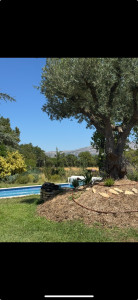 Photo de galerie - Jardinier