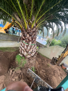 Photo de galerie - Terrassement - Assainissement