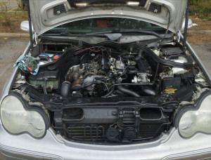 Photo de galerie - ..