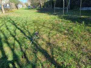 Photo de galerie - Débroussaillage