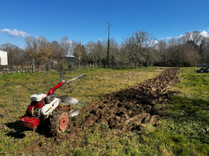 Photo de galerie - Paysagiste - Aménagement du jardin