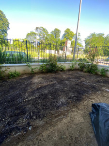 Photo de galerie - Paysagiste - Aménagement du jardin