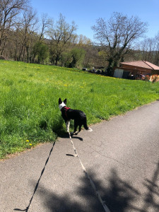 Photo de galerie - Sortie ensoleillée en campagne 