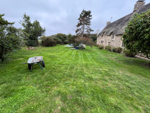 Photo de galerie - Tonte de pelouse - Débroussaillage