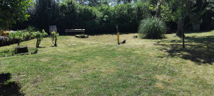 Photo de galerie - Tonte 