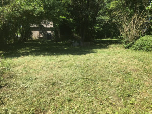 Photo de galerie - Tonte de pelouse - Débroussaillage