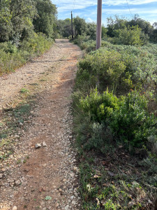 Photo de galerie - Avant nettoyage chemin