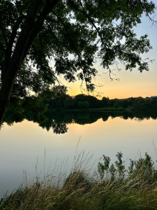 Photo de galerie - Garde animaux