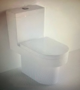 Photo de galerie - Dépose et pose d’un toilettes normal