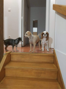 Photo de galerie - Garderie ❤️