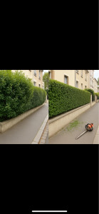 Photo de galerie - Espaces verts